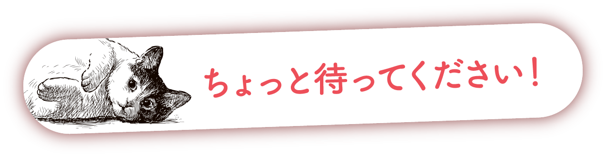 ちょっと待ってください！