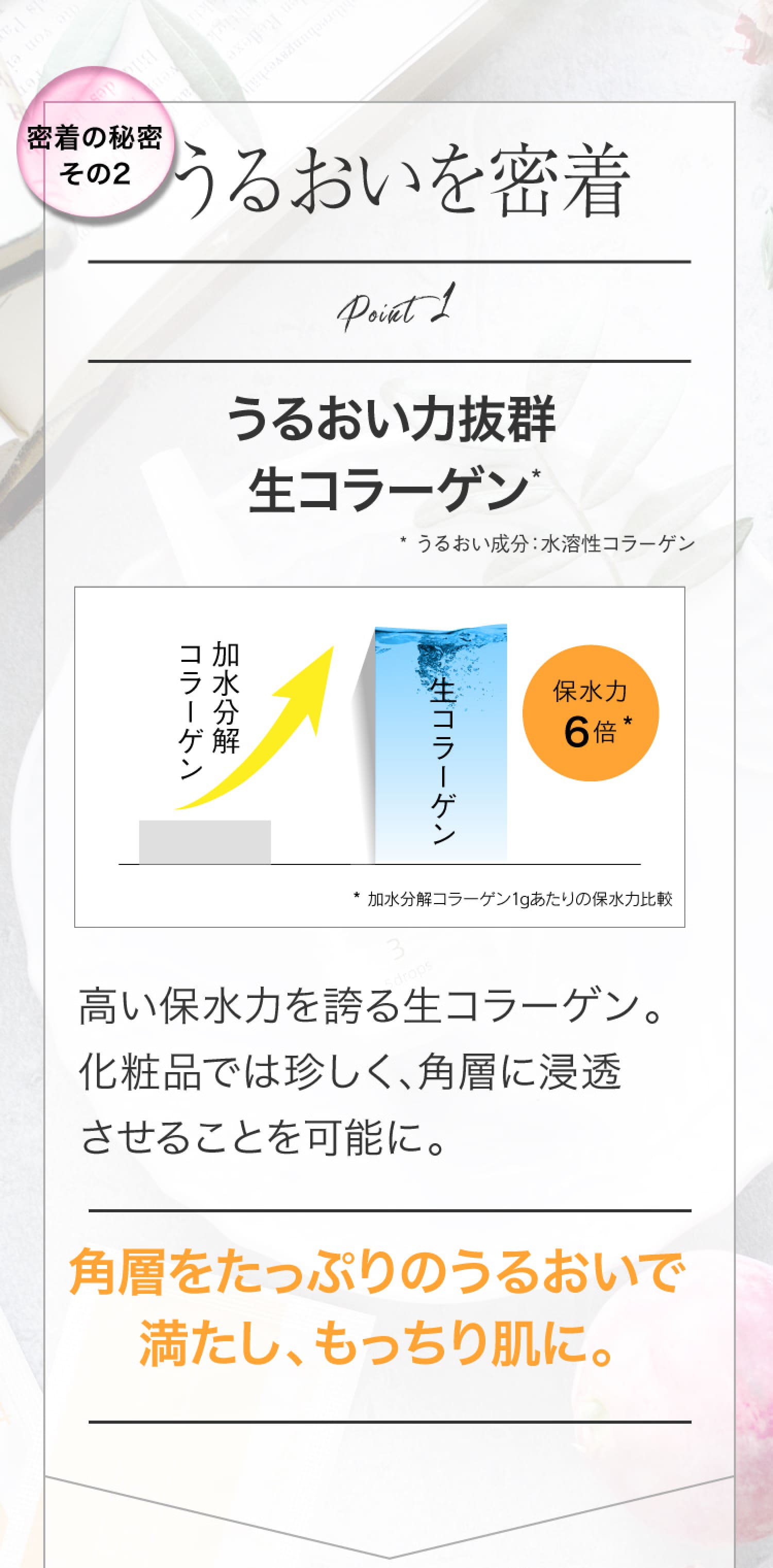 密着の秘密その2 うるおいを密着 Point1 うるおい力抜群生コラーゲン